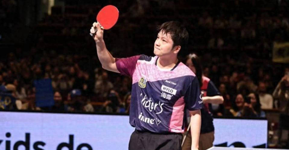 樊振东3-0完胜斩获欧冠单场最佳，“金满贯”实力无可匹敌