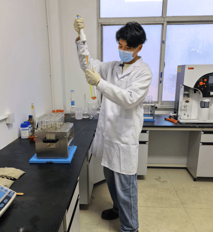 2026新春走基层 | 盐碱地上崛起“绿色粮仓”